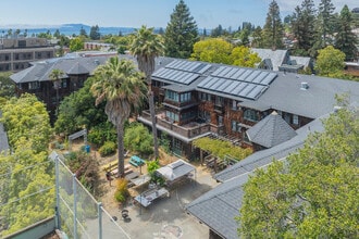 Cloyne Court in Berkeley, CA - Foto de edificio - Building Photo