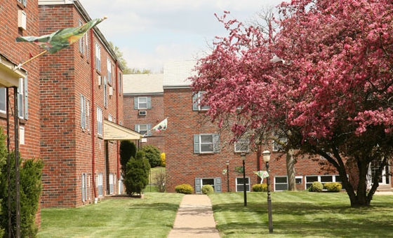 Rosedale Court Apartments in Roslyn, PA - Building Photo