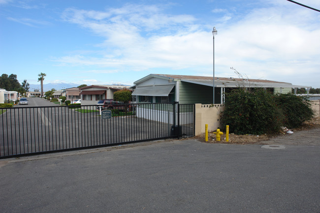 The Colony in Oxnard, CA - Building Photo - Building Photo