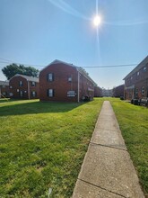 1013 St Paul Ct in Louisville, KY - Building Photo - Building Photo