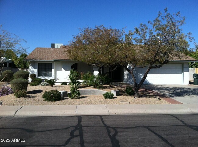 6228 E Nisbet Rd in Scottsdale, AZ - Building Photo - Building Photo