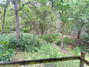 4600 Rivka Cove in Austin, TX - Building Photo - Building Photo