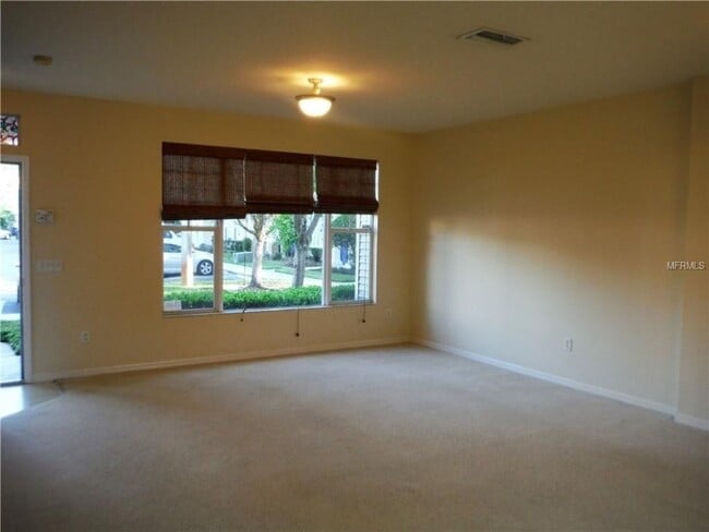 11057 Black Swan Ct in Seffner, FL - Foto de edificio - Building Photo