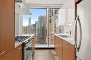 465 E Illinois St in Chicago, IL - Building Photo