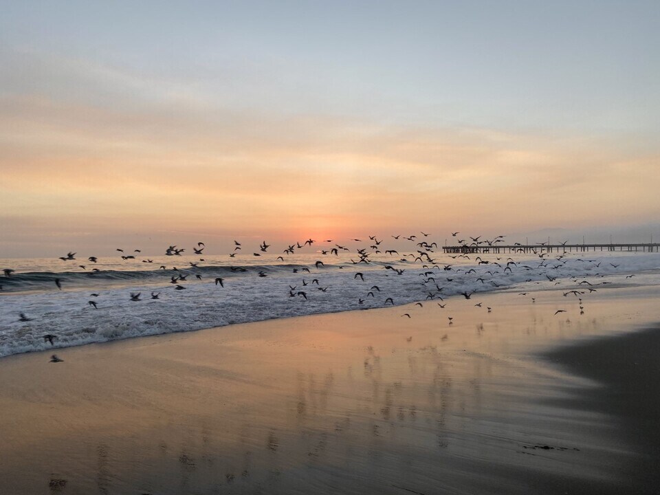 2707 Strongs Dr in Venice, CA - Foto de edificio