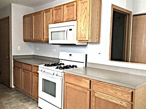 21529 Gray Wing Dr in Crest Hill, IL - Building Photo - Building Photo