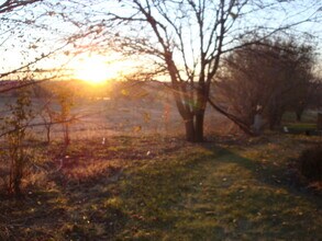 1105 Grenoble Dr in Bellevue, NE - Building Photo - Building Photo