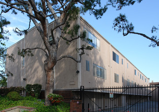 4305 Alla Rd in Los Angeles, CA - Building Photo - Building Photo