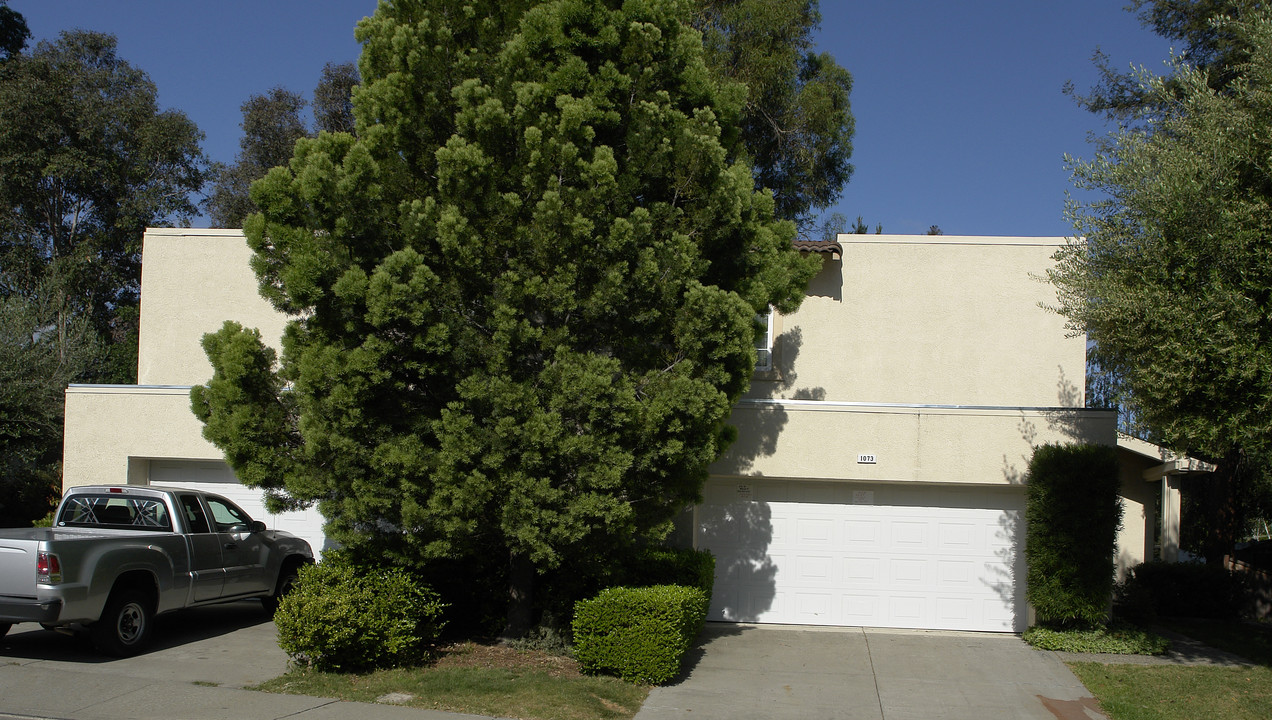 1071 Esplanade Pl in Walnut Creek, CA - Building Photo