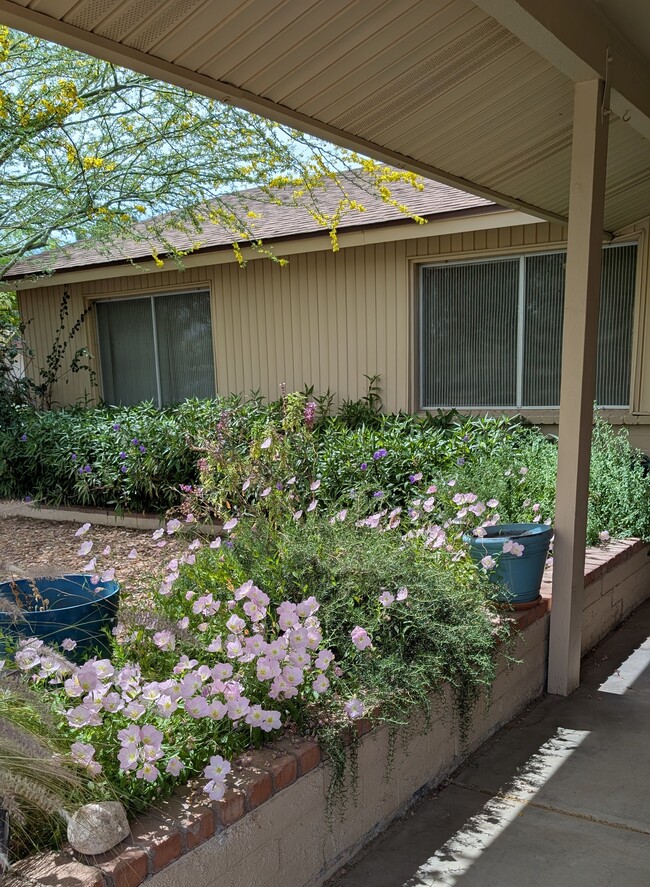 4344 W Sandra Cir in Glendale, AZ - Building Photo - Building Photo