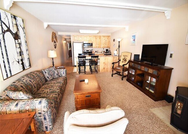 401 W Lodgepole St in Dillon, CO - Building Photo - Building Photo