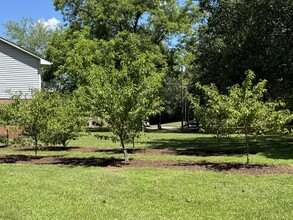 The Orchard Apartment Homes in Gaffney, SC - Building Photo - Building Photo