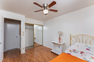 4587 Carambola Cir S in Coconut Creek, FL - Building Photo - Building Photo