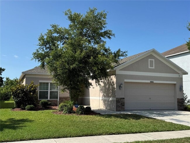 18846 Narimore Dr in Land O Lakes, FL - Building Photo - Building Photo