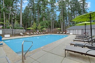 The Marq on Martin Apartments in Lacey, WA - Building Photo