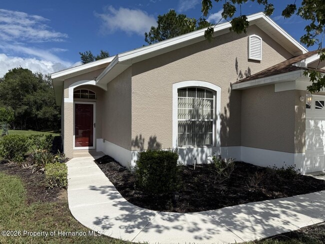14501 Silversmith Cir in Spring Hill, FL - Foto de edificio - Building Photo
