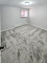 136 N Lake St in Grant, MI - Building Photo - Building Photo