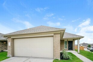 313 Blue Crane St in Huntsville, TX - Building Photo