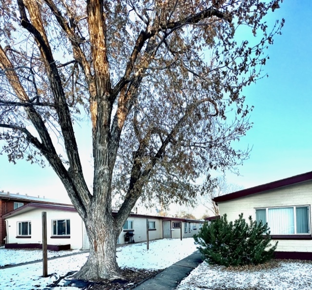 2348-2352 Emporia St in Aurora, CO - Building Photo