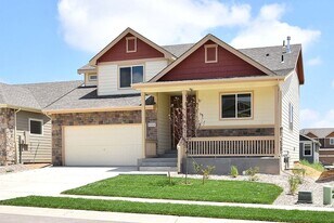 2120 Orchard Bloom Dr in Windsor, CO - Building Photo