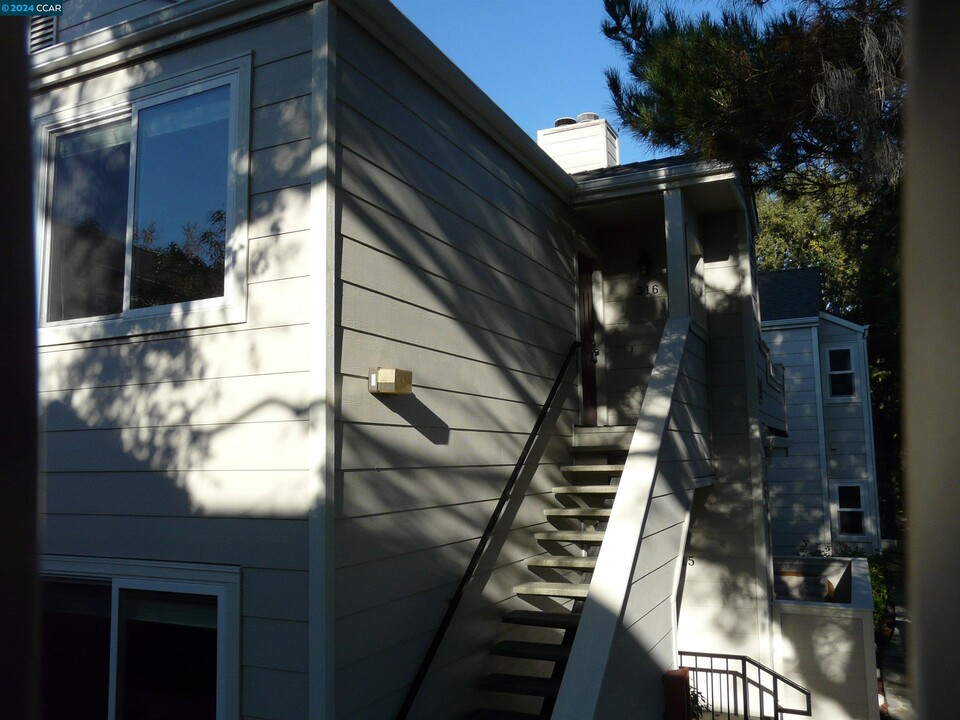 316 Norris Canyon Terrace in San Ramon, CA - Building Photo