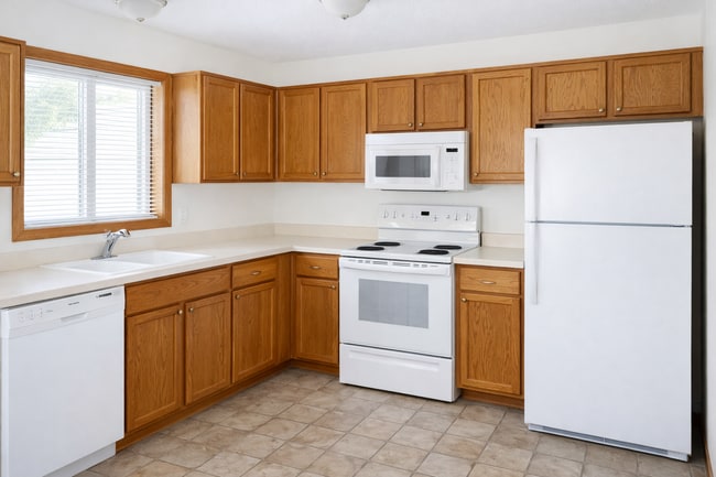 10563 Martin St NW in Coon Rapids, MN - Building Photo - Building Photo