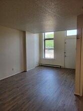 313 N Riverfront Dr in Mankato, MN - Foto de edificio - Building Photo