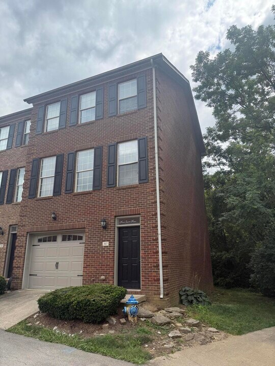 1145 Appian Crossing Way in Lexington, KY - Building Photo