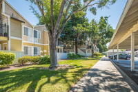 Bridgeport in Newark, CA - Foto de edificio - Building Photo