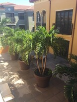 23151 Fashion Dr, Unit 309 in Estero, FL - Building Photo