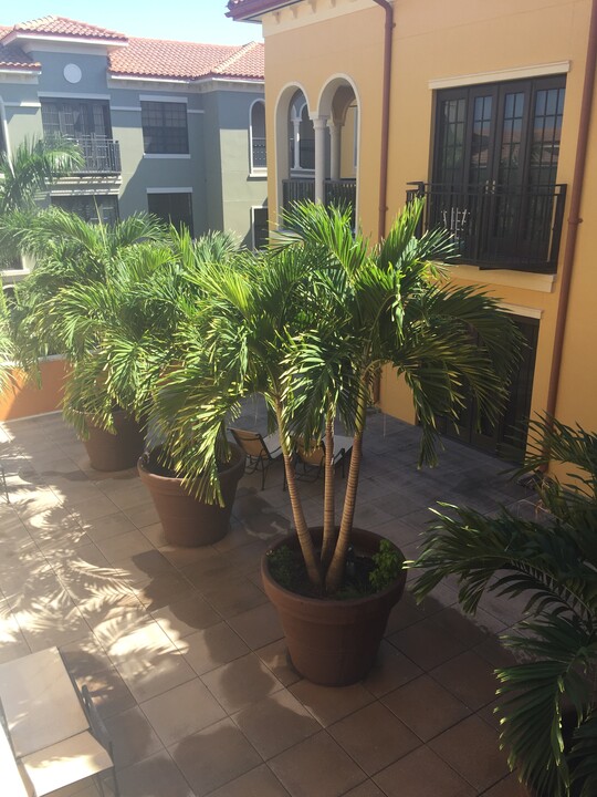 23151 Fashion Dr, Unit 309 in Estero, FL - Building Photo