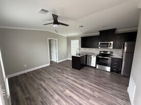 3114 Shady Creek Ln in Oyster Creek, TX - Building Photo