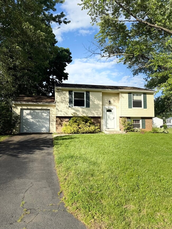 property at 4620 Norris Ct