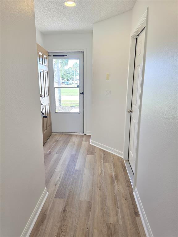 13334 Ashbark Ct in Riverview, FL - Building Photo - Building Photo