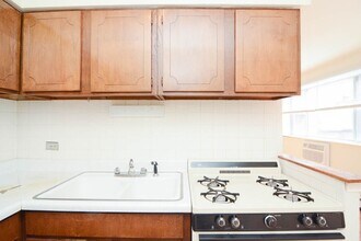 533 W Aldine Ave in Chicago, IL - Building Photo - Building Photo