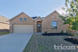 2125 O'keefe Ct Little Elm TX in Little Elm, TX - Building Photo