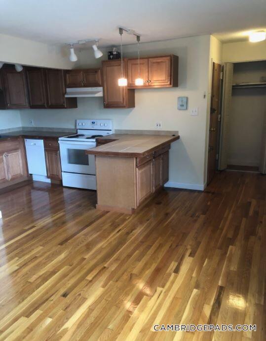 77 Trowbridge St in Cambridge, MA - Building Photo - Building Photo