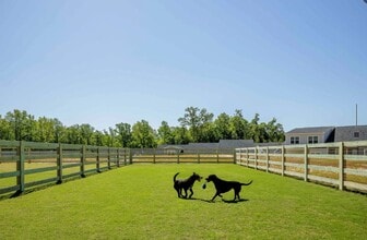 Cottages at Dawsonville in Dawsonville, GA - Building Photo - Building Photo
