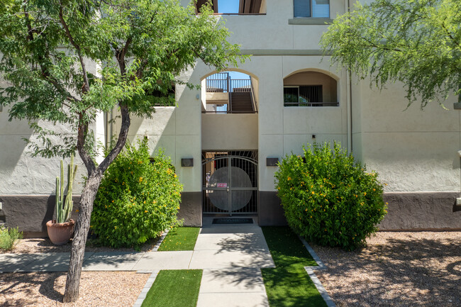 Riata Court Apartments in Tucson, AZ - Building Photo - Building Photo