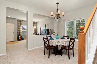 14126 Petrel Dr in Colorado Springs, CO - Foto de edificio - Building Photo