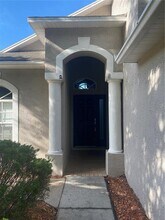 10471 Lucaya Dr in Tampa, FL - Building Photo - Building Photo