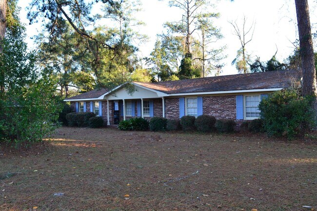 222 Mary St in Blackshear, GA - Building Photo - Building Photo