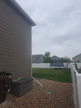 5635 Osbourne Dr in Windsor, CO - Building Photo - Building Photo