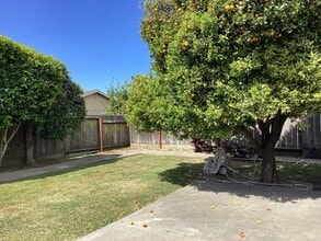 567 Tuttle Ave in Watsonville, CA - Building Photo - Building Photo