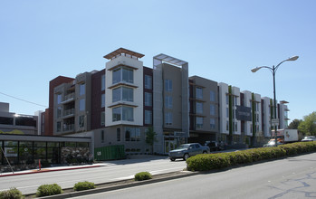 555 Ygnacio Valley Rd in Walnut Creek, CA - Foto de edificio - Building Photo