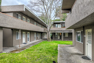 Warren Street, 1151-1181* in Napa, CA - Foto de edificio - Building Photo