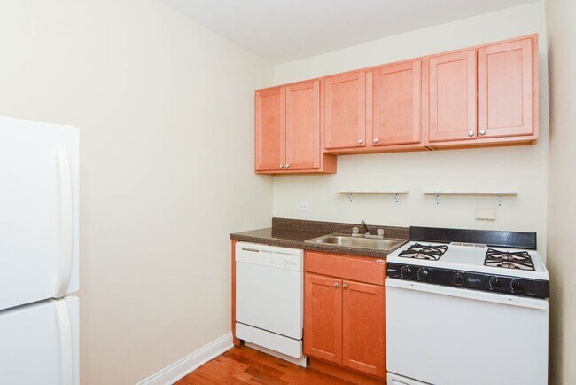 1350 N Dearborn in Chicago, IL - Building Photo - Building Photo
