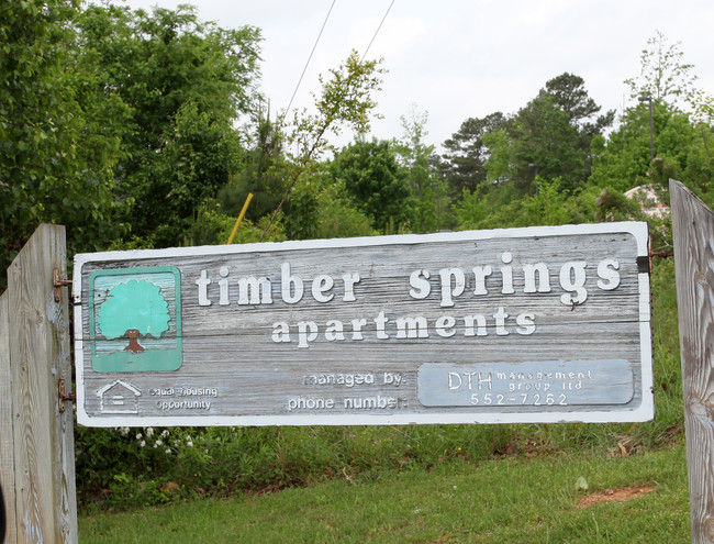 Timber Springs Apartments in Holly Springs, NC - Building Photo - Building Photo