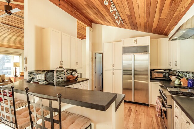 1006 E Hyman Ave in Aspen, CO - Building Photo - Building Photo