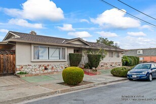 452 Cirrus Ave in Sunnyvale, CA - Building Photo